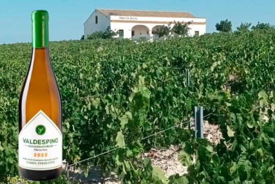 Valdespino Lanza su Primer vino ecológico ampliando su colección de Vinos Tranquilos Vino de Pasto
